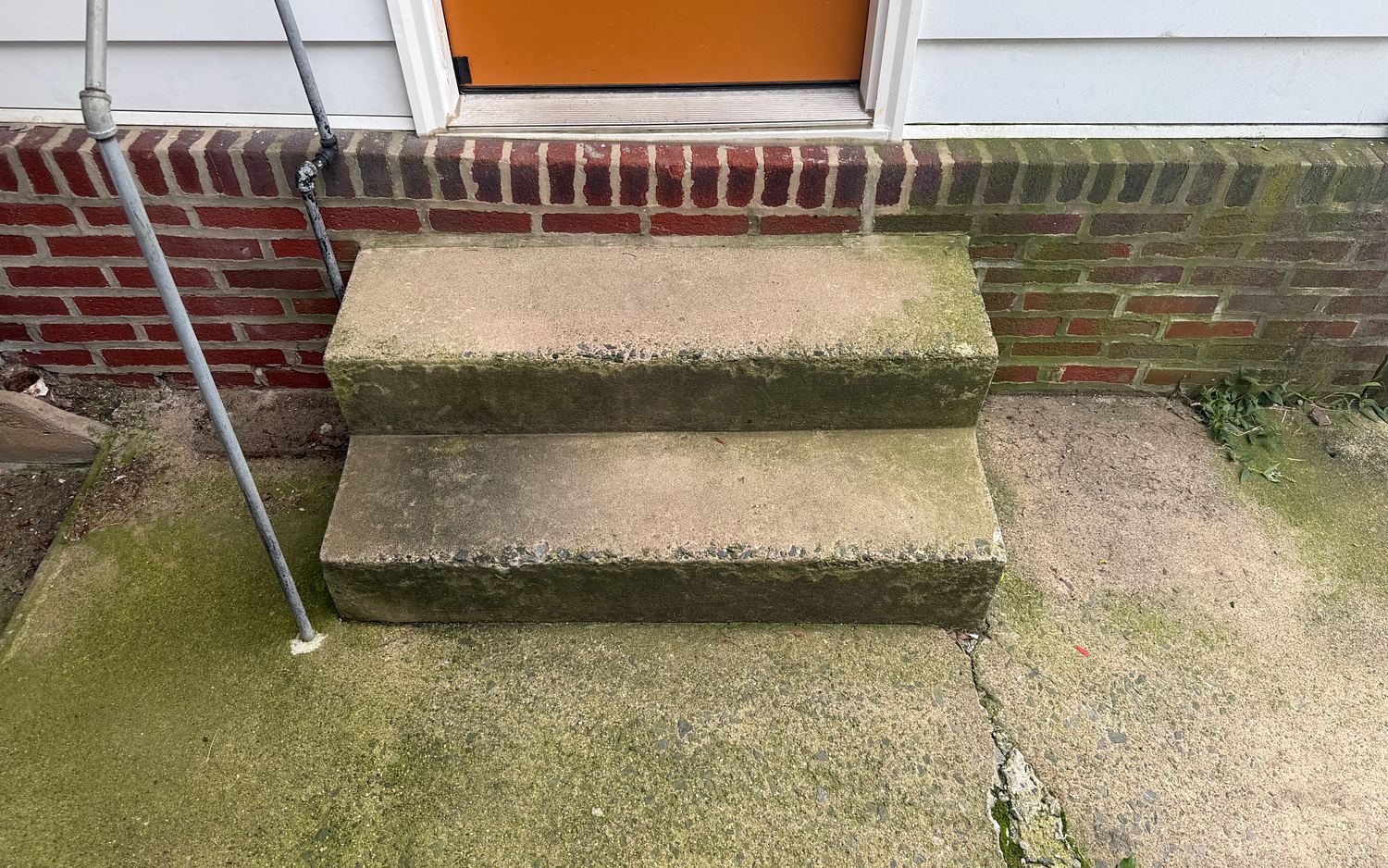 Concrete front steps and walkway of a brick home in Lansdowne, PA before washing, the steps and the slab furred with green algae