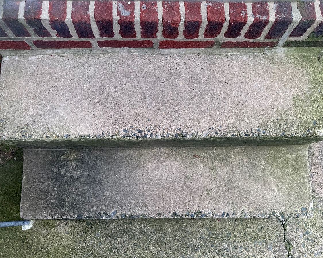 Concrete front steps in Lansdowne, PA seen from above before washing, the treads gray-green with algae below the brick wall