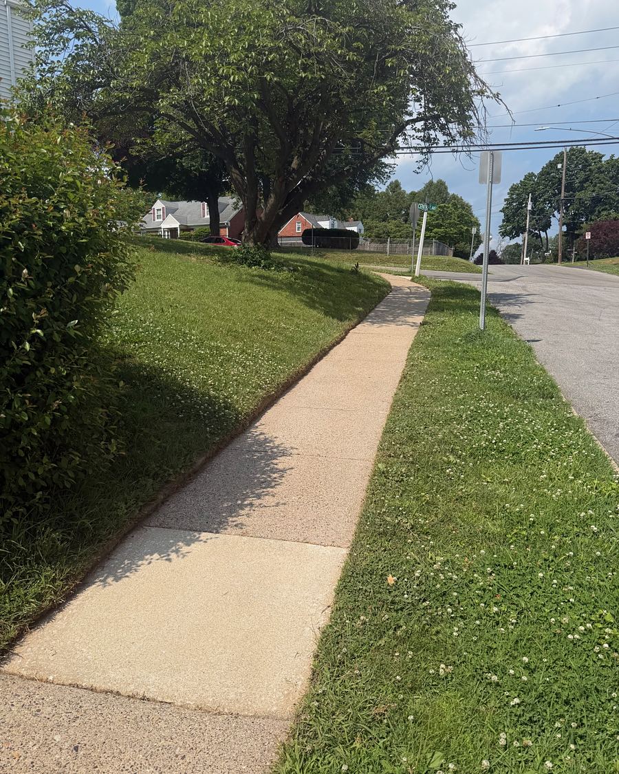 Long concrete front walkway in Havertown, PA after washing, bright and evenly clean to the curb