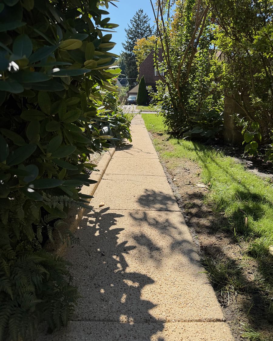 The same Drexel Hill, PA walkway after washing, the aggregate clean and bright under dappled shade