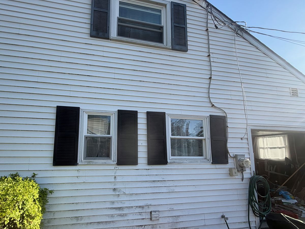 White vinyl siding streaked with green algae and gray mildew before soft washing
